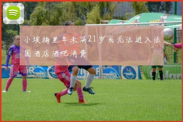 小埃梅里年未满21岁或无法进入法国酒店酒吧消费